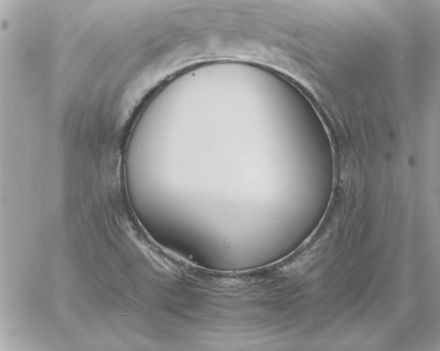 X0000059231507200510281852