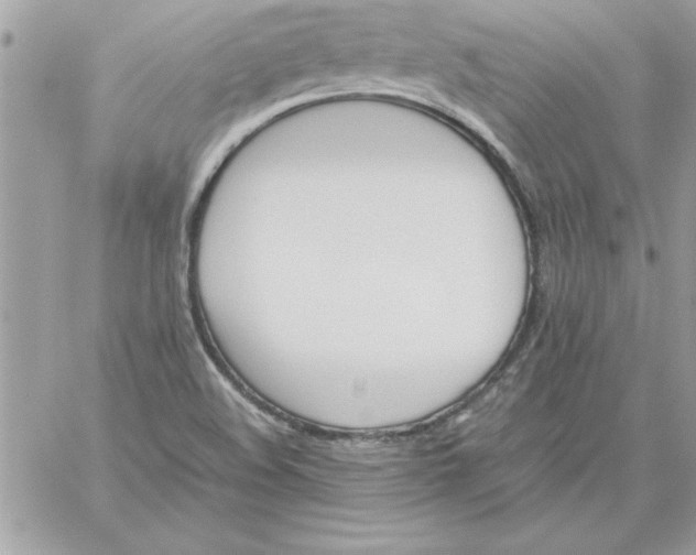 X0000059231508200510281852