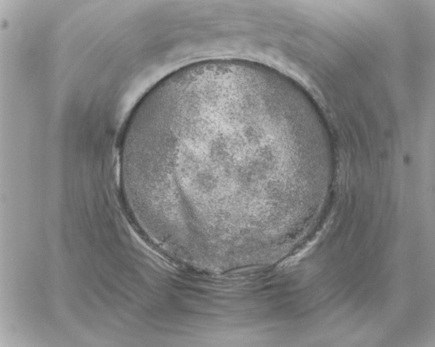 X0000059231509200510281852