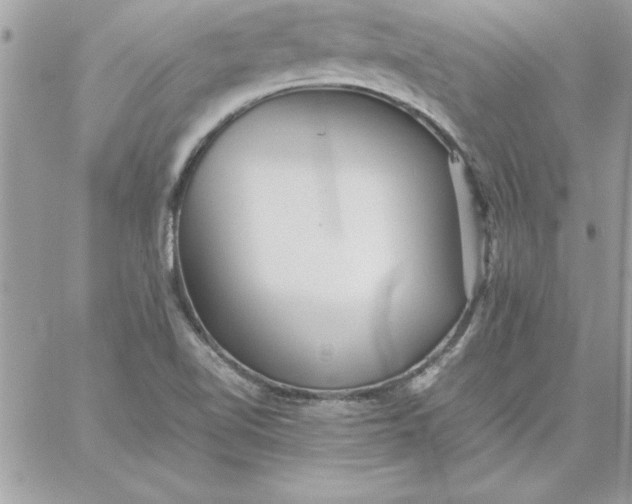 X0000059231510200510281852