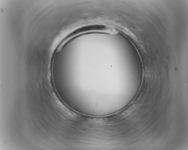 X0000059231512200510281852