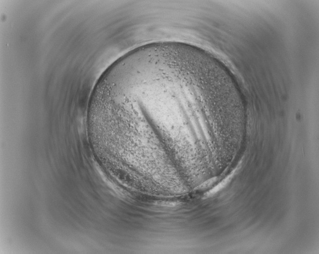 X0000059231513200510281852