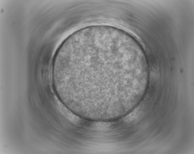 X0000059231514200510281852