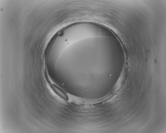 X0000059231515200510281852