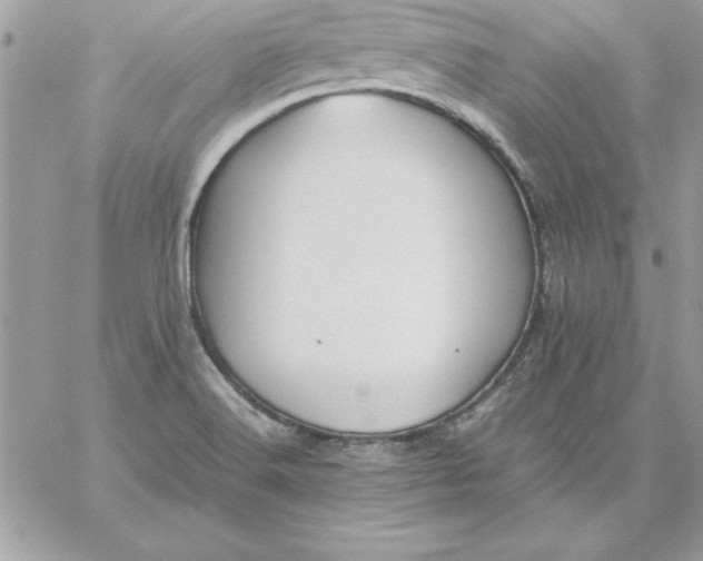 X0000059231516200510281852