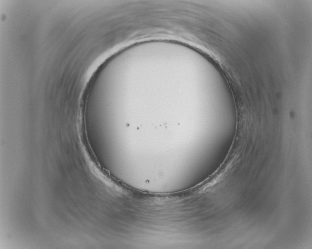 X0000059231518200510281852