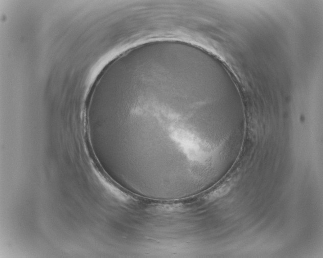 X0000059231519200510281852