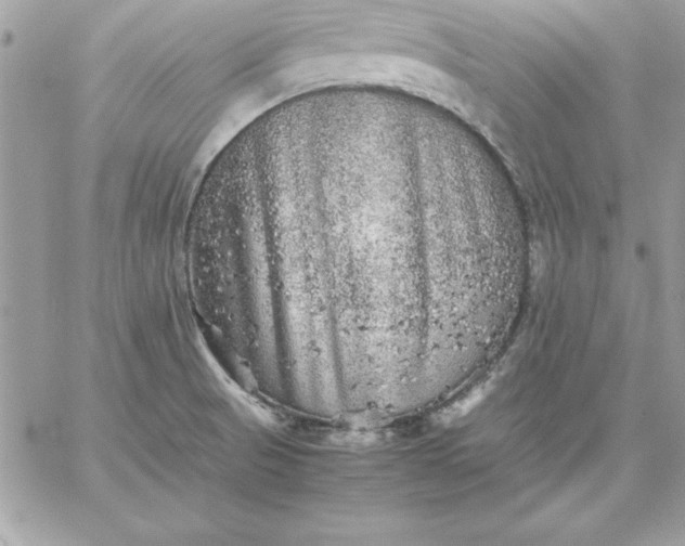 X0000059231521200510281852