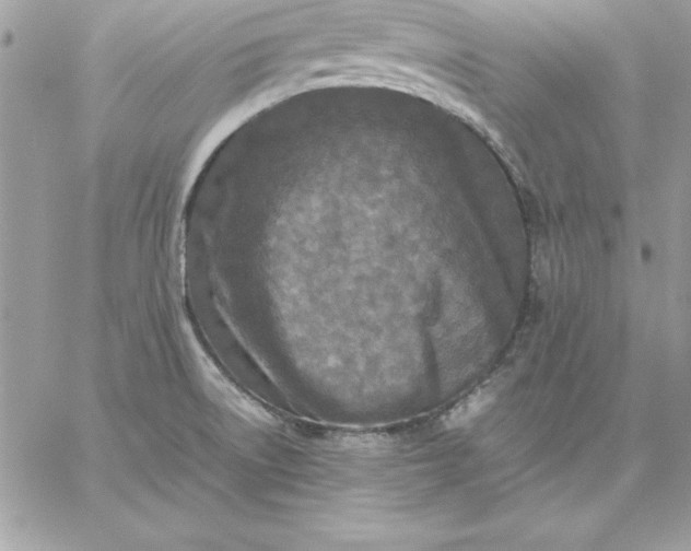 X0000059231522200510281852