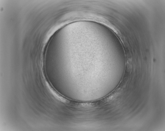 X0000059231523200510281852