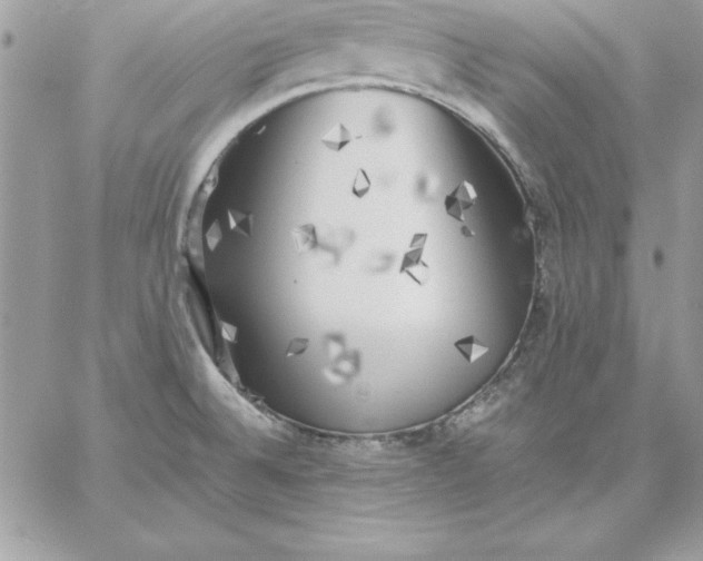 X0000059231524200510281852