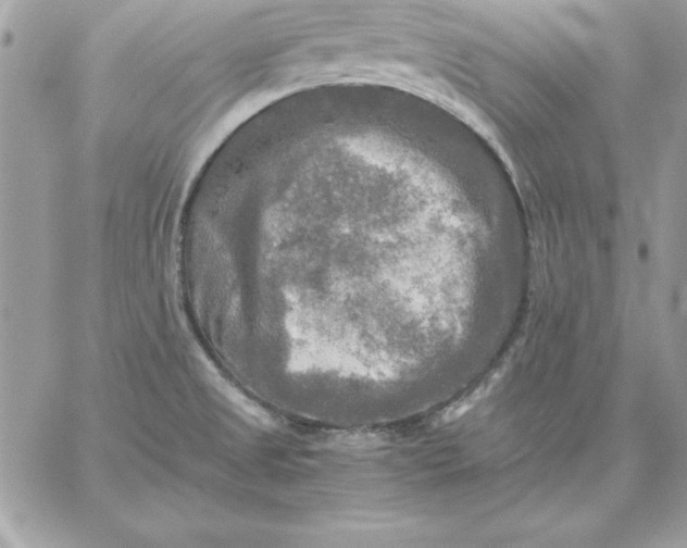 X0000059231525200510281852