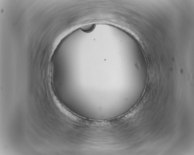 X0000059231526200510281852