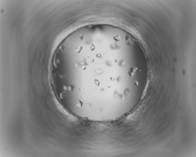 X0000059231528200510281852