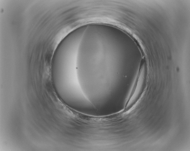 X0000059231529200510281852