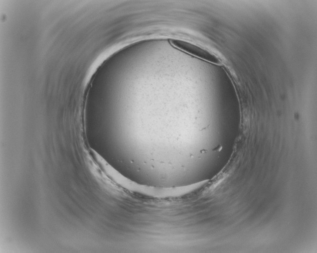 X0000059231530200510281852