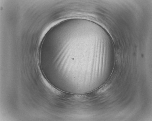 X0000059231531200510281852