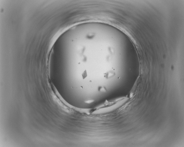 X0000059231532200510281852