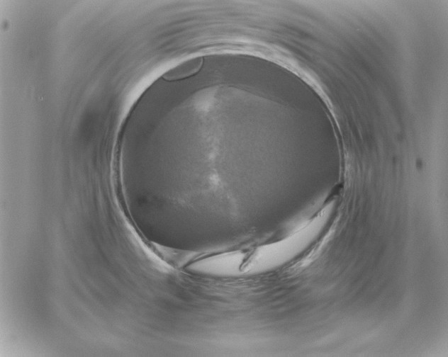 X0000059231533200510281852