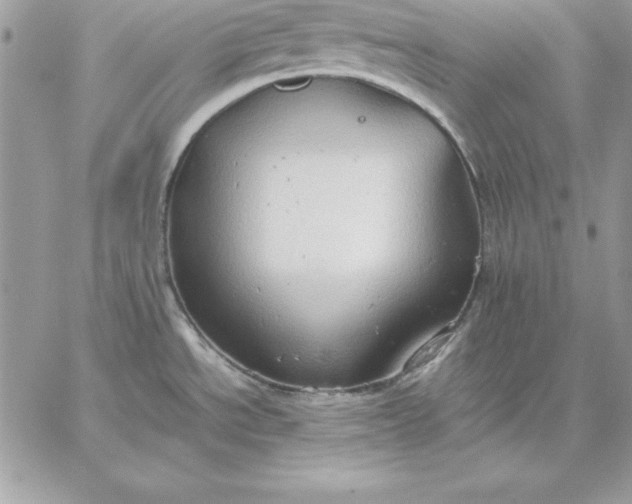 X0000059231534200510281852