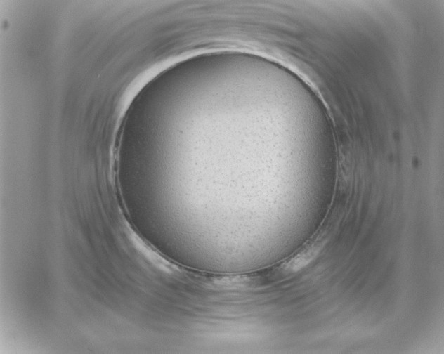 X0000059231535200510281852