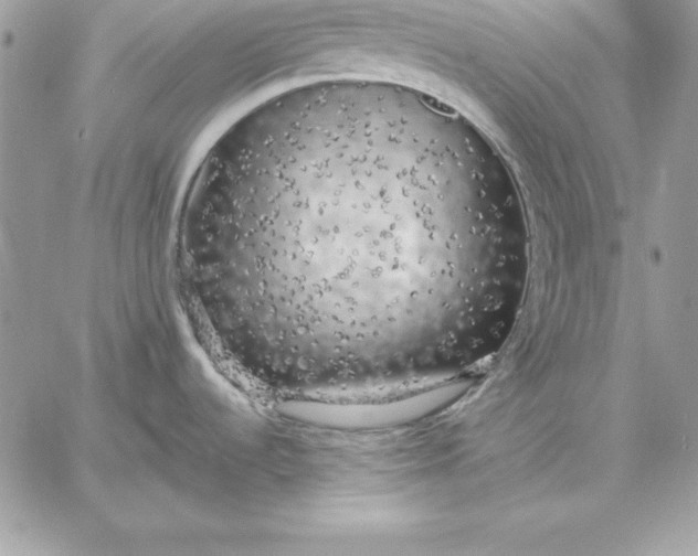 X0000059231536200510281853