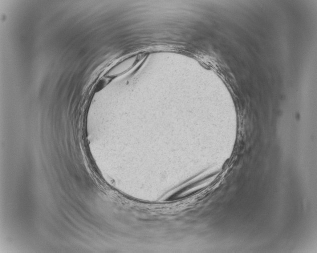 X0000059230001200511041254