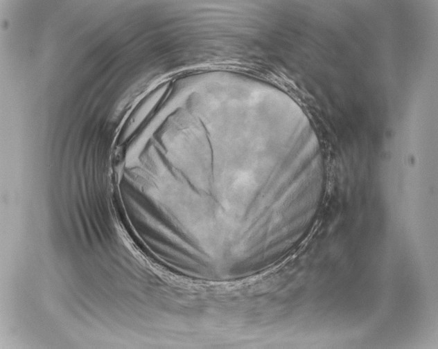 X0000059230002200511041254