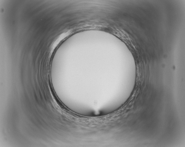 X0000059230003200511041254