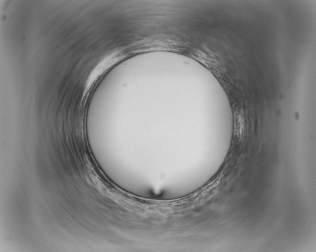 X0000059230004200511041254