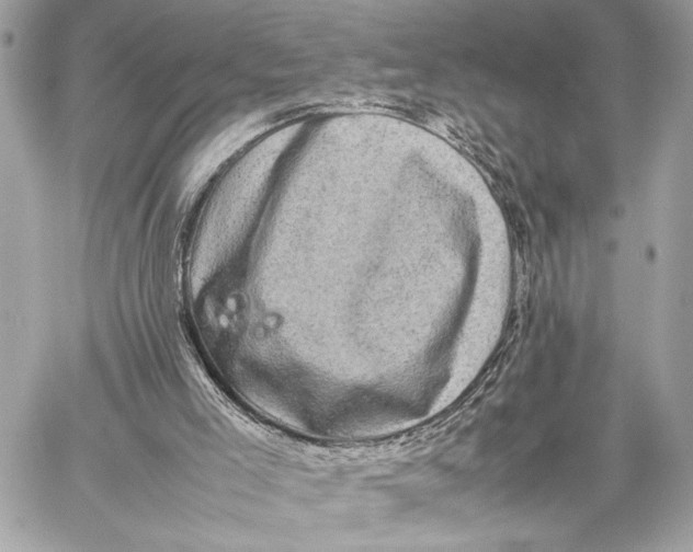 X0000059230005200511041254