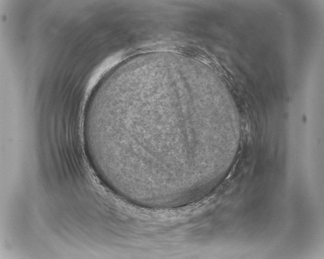 X0000059230006200511041253