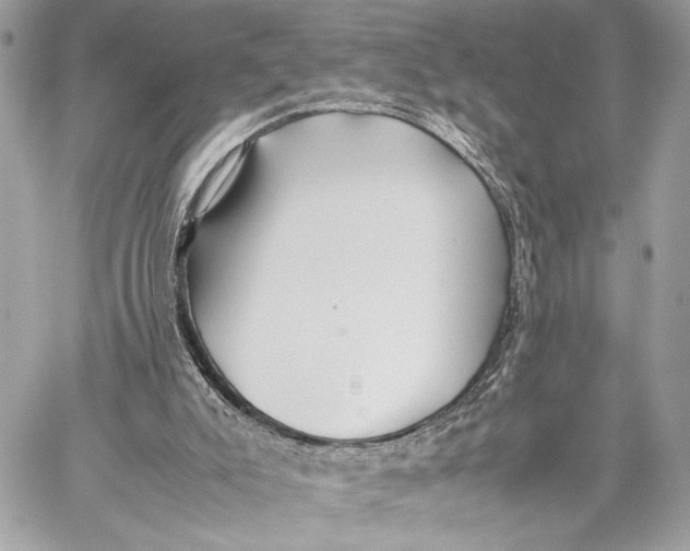 X0000059230007200511041253