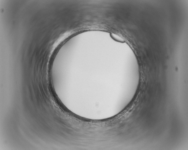 X0000059230008200511041253