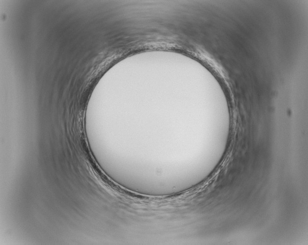 X0000059230009200511041253