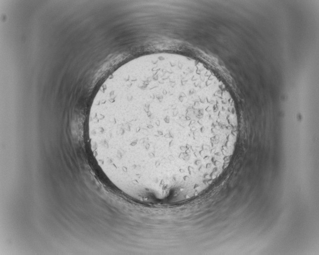 X0000059230010200511041253