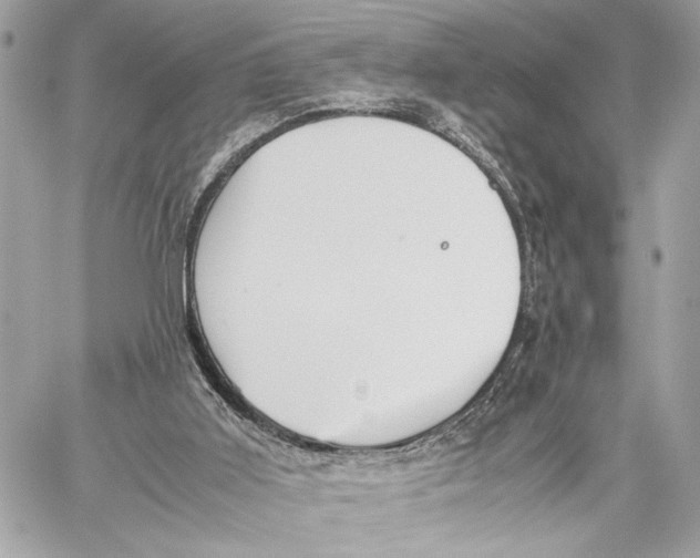 X0000059230011200511041253