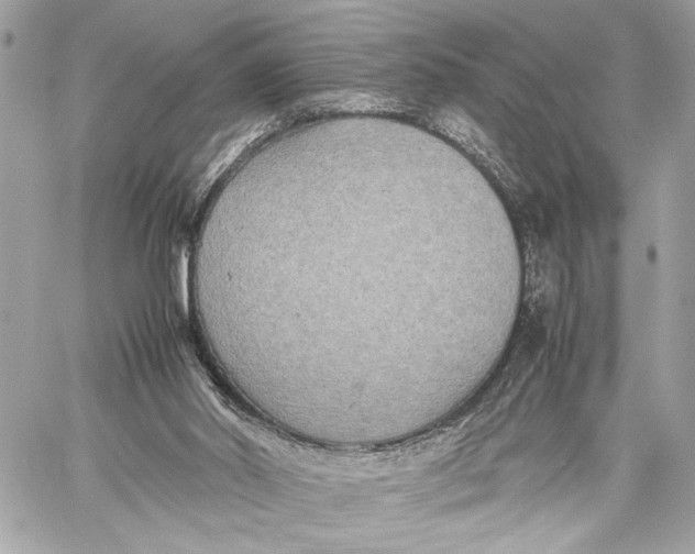 X0000059230014200511041253