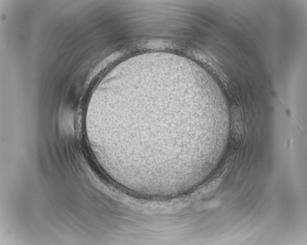 X0000059230016200511041253