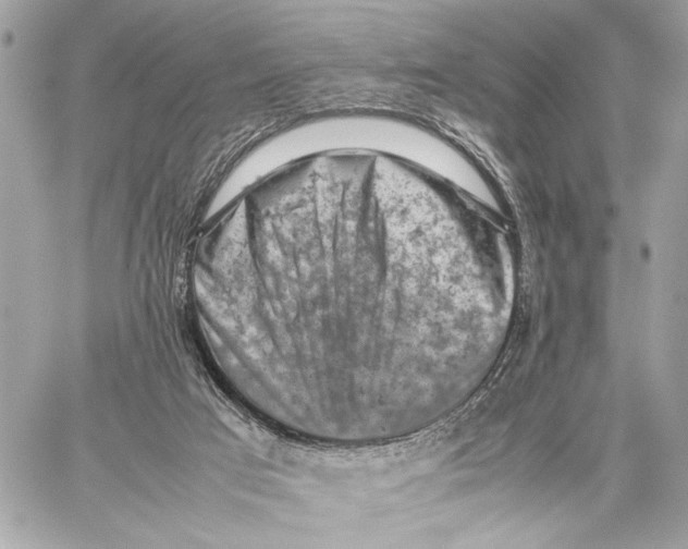 X0000059230017200511041253