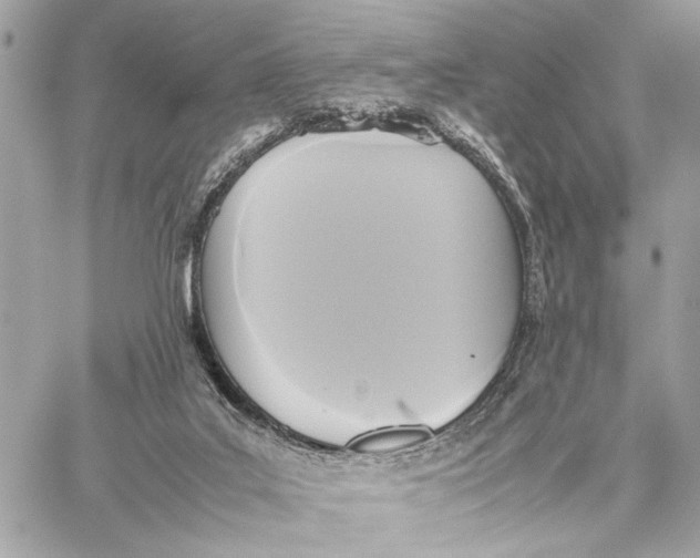 X0000059230019200511041253