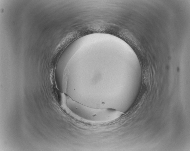 X0000059230023200511041253