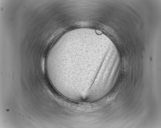 X0000059230024200511041253