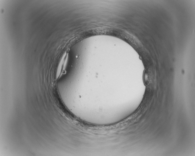 X0000059230025200511041253