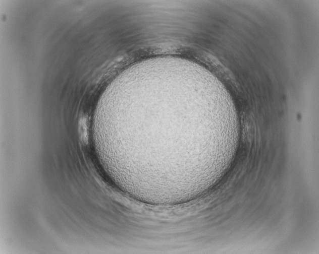 X0000059230026200511041253