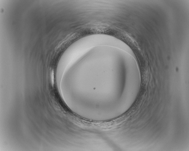 X0000059230027200511041253