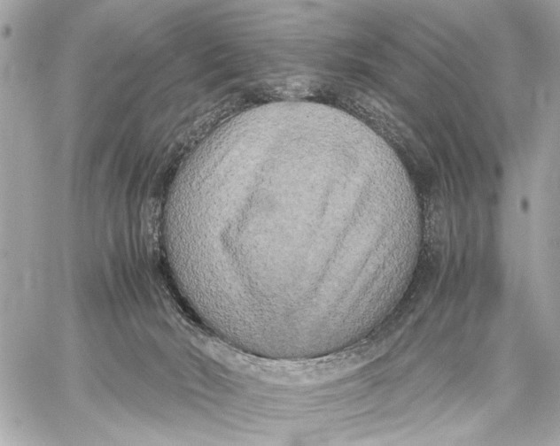 X0000059230030200511041253