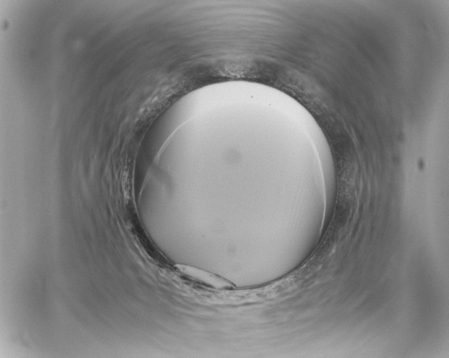 X0000059230031200511041253