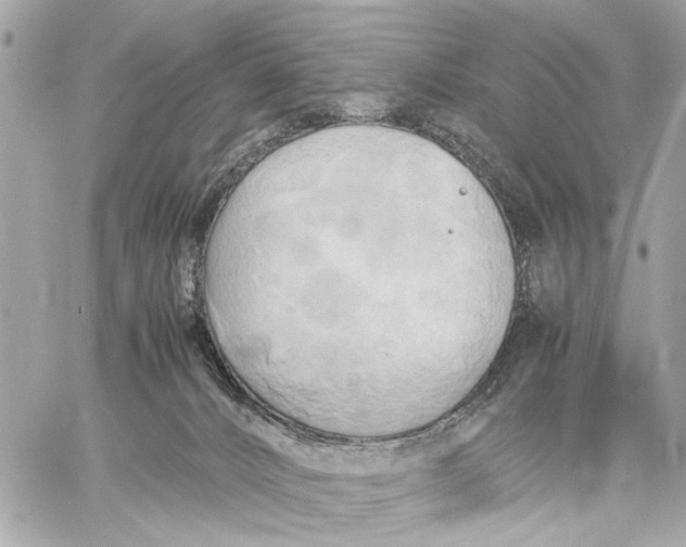 X0000059230032200511041253