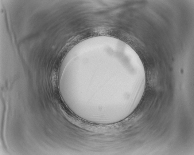 X0000059230036200511041253